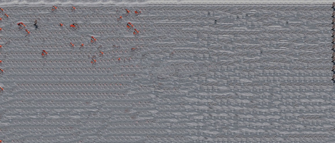 Fineartprint auf Hahnemühle, Alu-Dibond, 74 × 170 cm, Auflage 6